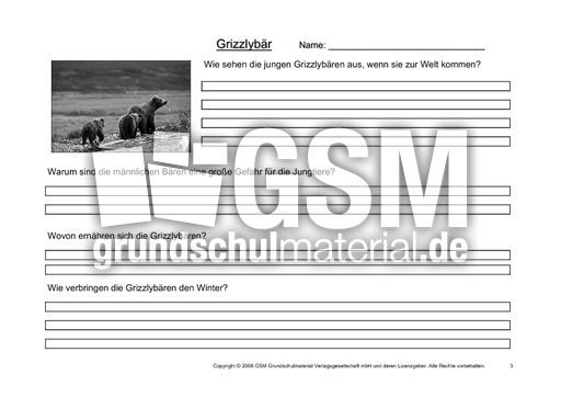 Grizzly-Fragen-3.pdf